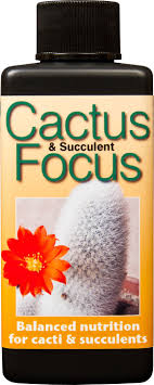 Contains peat, sand, grit, sterilised soil, maglime, wetting agent as well as a carefully balanced range of nutrients to support growth. Cactus And Succulent Focus 100 Ml Buy Online In Burkina Faso At Burkinafaso Desertcart Com Productid 48070149