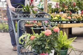 Maybe you would like to learn more about one of these? Which Garden Centres Are Open Tomorrow And Is It Safe To Visit Them Woman Home