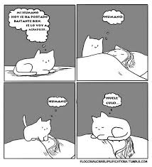 Pin On Humor E Imagenes Divertidas