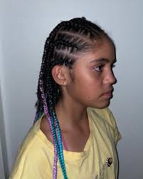 2 Different small box braids with different colours. One normal braids box  Other half cornrows with box braids. #hairstyles #hairbraiding  #hairextensions