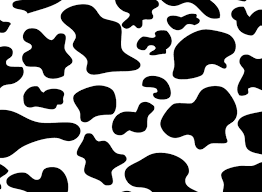 Colourful cow print with clashing pastel colours soon to be available in a4 or a3 on glossy paper ready for a frame or to stick straight onto a wall in an aesthetic and colourful house, flat or apartment. Black And White Cow Wallpapers Wallpaper Cave