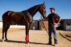 2025 Sunland Derby: Follow along for live coverage