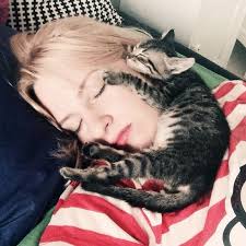 Kedi Bakan Erkekler Kedi Seven Erkek Kedici Dergisi Tarkan Ozcetin Isil Cinmen Haberturk Isil Cinmen Roportajlari Kediler Ve Insanlar