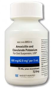 Image result for Amoxicillin