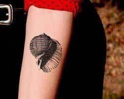 Remember that these shells are used to protect the animals they're attached to, so it is an excellent meaning for them. Seashell Tattoo Meaning 62 Seashell Tattoos Tattoos Shell Tattoos