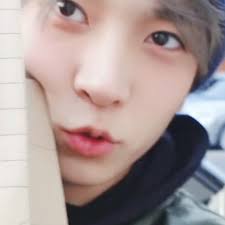 Josie Grubb (josiegrubb)