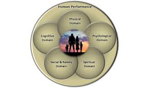 There are 480 primary care physicians in tampa. Home