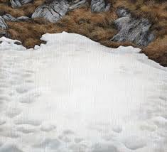 Surreal Paintings By Moki Mioke Ignant Surrealismus Malerei