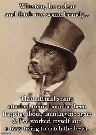 Pin On Crazy But True