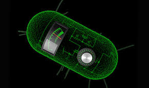 Free certificate | access for 365 days | accredited by cpd | 2 free additional courses | 24/7 tutor support. Online Courses On Synthetic Biology Biosci 417 Coursebuffet Find Free Online Courses Moocs