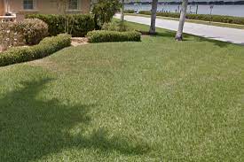 Search 210 bradenton, fl landscape architects and designers to find the best landscape architect from there the bradenton landscaper will develop preliminary concepts for your front or backyard. Bradenton Lawn Care Pro Lawn Service Bradenton Florida Professional Lawn Care Service