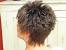 Pixie Hair Cuts Back View