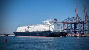 Maple oh 구독 디시 i heard there was a more youthful service