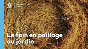 En phonétique, un son (techniquement un phone) est la plus petite unité acoustique que l'on obtient en découpant la chaine parlée. Le Foin En Paillage Au Jardin
