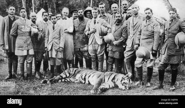 Edward, Prince of Wales, hunting tiger during his state visit to India in 1876. Artist: Unknown Stock Photo - Alamy