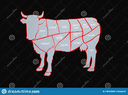 Cow And Cut Of Beef Or Beef Chart Diagram Of Different