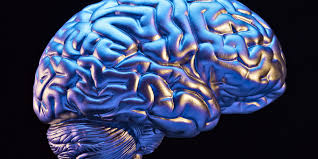 What happens to your brain when you have a seizure. Listen Brain Having A Seizure Sounds Weird Brain Brain Exercise Traumatic Brain Injury