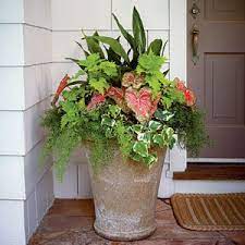 125 Container Gardening Ideas Container Gardening Flowers Container Gardening Porch Plants