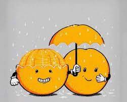 Pin On Naranjas Por El Mundo