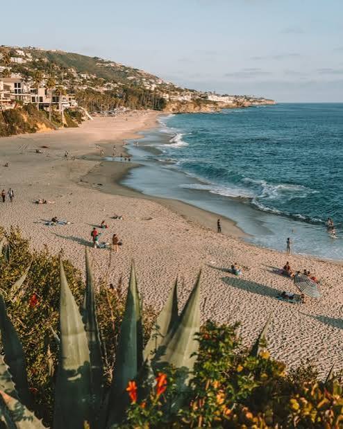 Discover the Most Stunning & Fun Beaches Across California