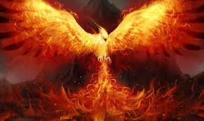 Certainly, there are differences depending on culture and era, but some commonalities arise. An Article About The Mythical Phoenix Mogul