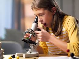 10 weird and wonderful things to look at under a microscope | Live Science