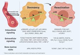 When a mutation gives a cancer cell a growth. Molecular Principles Of Metastasis A Hallmark Of Cancer Revisited Signal Transduction And Targeted Therapy