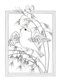 Bird Cornstalk Frame Ink Art By D Elsner Schwintowsky Bird Coloring Pages Bird Art Art