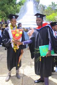 Profile for Ahmed Sali