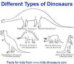 Dit zou bijvoorbeeld ook een dinosaurus kunnen zijn. Different Kinds Of Dinosaurs With Pictures Novocom Top