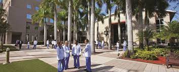 Halmos college of arts and sciences and the guy harvey oceanographic research center, under the leadership of dr. College Of Osteopathic Medicine Centers At Nsu