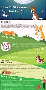 How To Stop Your Dog Barking At Night Training Buster