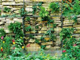Gabion Wall Plantings Offer Country Garden Effect Garden Wall Gabion Wall Vertical Garden
