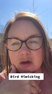 Northern Mockingbird crazy mimicking today! The Children noticed how the  Mickers were chasing each other and " playing tag" 😄 #mockingbird  #hummermigration #hummingbirds #rubythroatedhummingbirds ...