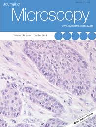 We did not find results for: Synthesis And Microstructural Studies Of Annealed Cu2o Cuxs Bilayer As Transparent Electrode Material For Photovoltaic And Energy Storage Devices Taleatu 2014 Journal Of Microscopy Wiley Online Library