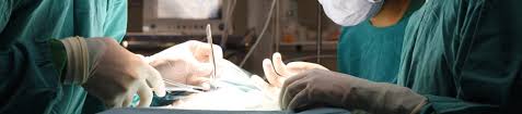 Both hospitals are open 24/7 for emergency care to a wide range of animal species, including dogs, cats, birds (such as poultry). Emergency And Urgent Care Rancho Village Veterinary Hospital Animal Hospital In La Mesa Ca
