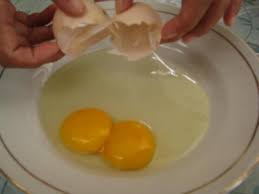 • kami akan usahakan telur fertil. Jawaban Kuning Telur Ada Dua Ganda Atau Dobel Elinotes Review