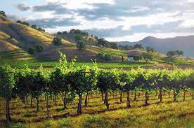 Uncover what you can find on a journey though the city's. Emilia Romagna