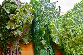 The edible leaves of kale usually have a dark green. A Variety Of Kale Presley S Pantry