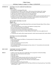 Developer Business Analyst Resume Samples Velvet Jobs