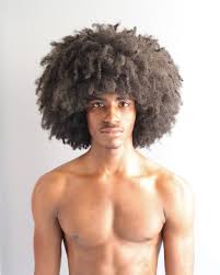 Image result for Afrostyrax