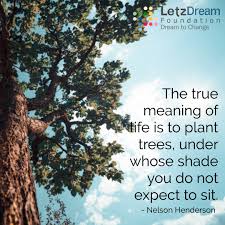 Trees provide us with many benefits necessary for survival, including. Letz Dream Foundation On Twitter The True Meaning Of Life Is To Plant Trees Under Whose Shade You Do Not Expect To Sit Nelson Henderson Wednesdaywisdom Nonprofit Quote Https T Co Xuzsnwg6kc