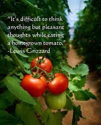 The scripture quotes are also very dear to my heart and overall i would like to have this book. Food For Thought Quotes About Food Nature S Sunshine