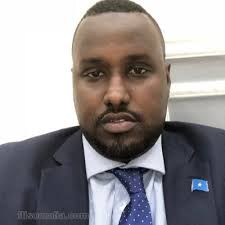 Member of Parliament Archives