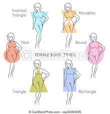 Hourglass body shape, inverted triangle body shape, rectangle body shape, round body shape and pear body shape. Female Body Types Female Body Types Anatomy Main Woman Figure Shape Free Font Used Canstock