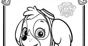 Children are sure to enjoy coloring the tiny fish and this coloring page shows robo dog riding the air patroller. Free Paw Patrol Skye Coloring Pages