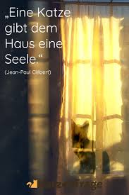 Sonst Fehlt Einfach Etwas Schonen Katzen Katzen Zitate Zitate Uber Katzen