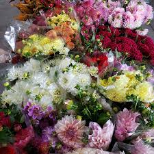 Maybe you would like to learn more about one of these? East Coast Wholesale Florist Home Facebook