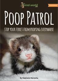 Apr 07, 2021 · the average cost of a ferret from breeders can go up to $500. 42 Ferrets Ideas Ferret Pet Ferret Small Pets