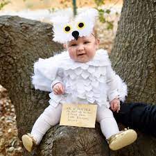 Hedwig Baby Owl Costume Diy No Sew Make Life Lovely